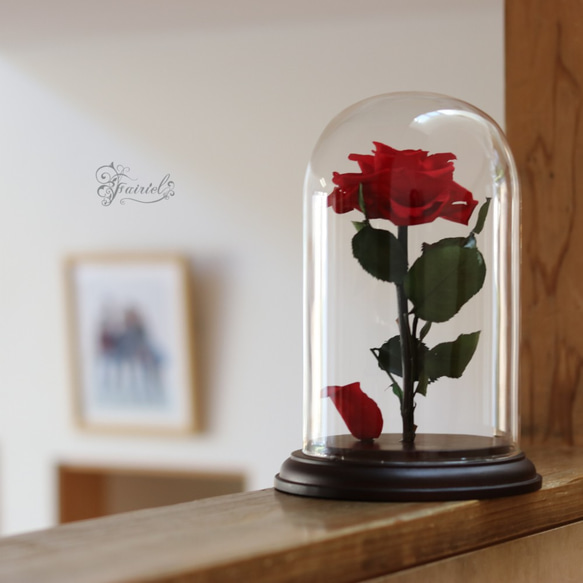 ガラスドーム　一輪の赤いバラ　レッドローズ　プリザーブドフラワー　ギフト【ラッピング・メッセージカード無料】 7枚目の画像