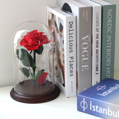 ガラスドーム 一輪の赤いバラ レッドローズ プリザーブドフラワー