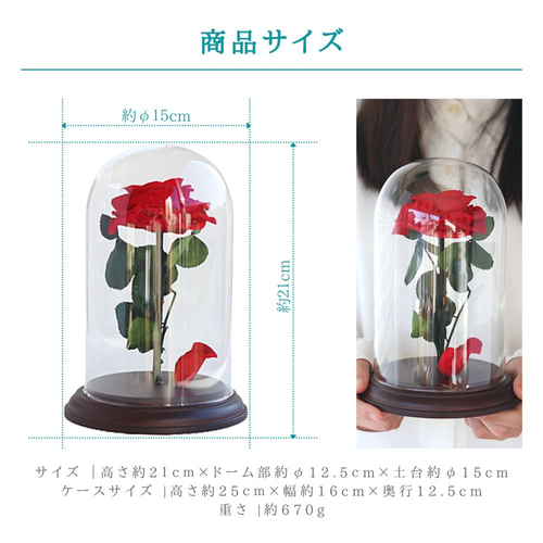 ガラスドーム 一輪の赤いバラ レッドローズ プリザーブド