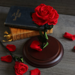 ガラスドーム 一輪の赤いバラ レッドローズ プリザーブドフラワー