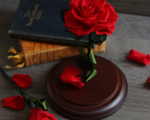 5_a1f675be811c43fecbe795d4cbb5