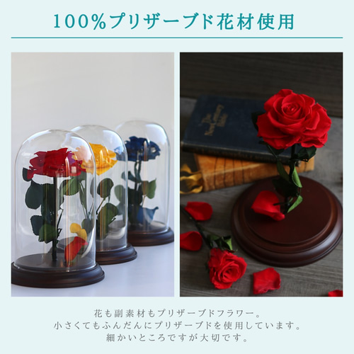 ガラスドーム 一輪の赤いバラ レッドローズ プリザーブド
