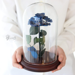 ガラスドーム 一輪の青いバラ ブルーローズ プリザーブドフラワー