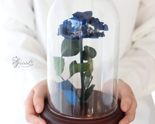 1_58bd534991b3b11707c66f5c3a92