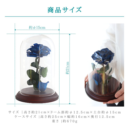 ROSE GALLERYプリザーブドフラワー　ブルー　ガラスドーム付き WEBSHOP｜大阪市中央区のプリザーブドフラワー専門店 Ro:zic