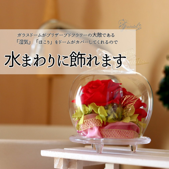 おしゃれなガラスドーム アップル 赤いバラ レッドローズ プリザーブド