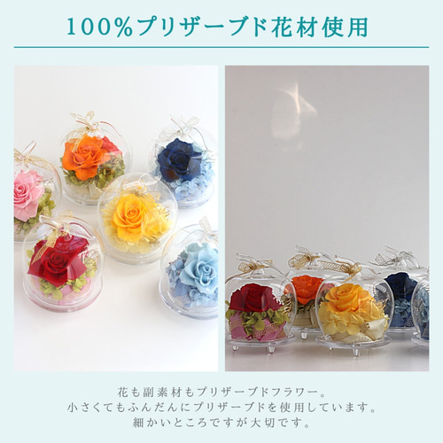 おしゃれなガラスドーム アップル 赤いバラ レッドローズ プリザーブド