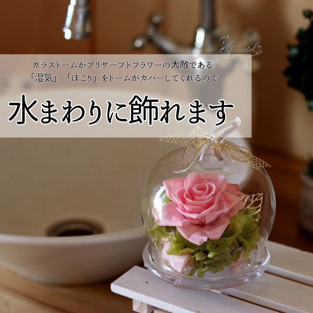 おしゃれなガラスドーム　アップル　バラ　ピンクのバラ　プリザーブドフラワーギフト【ラッピング・メッセージカード無料】