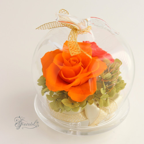オレンジのプリザーブドローズ ガラスドーム入り プリザーブドフラワー