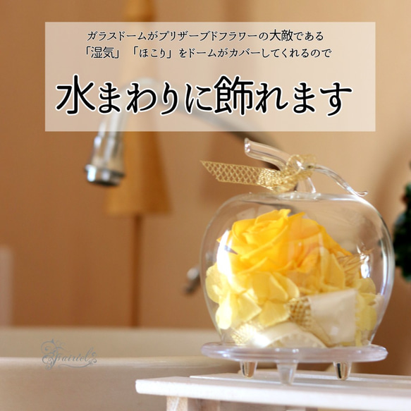 おしゃれなガラスドーム　アップル　黄色いバラ　イエロー　プリザーブドフラワーギフト【ラッピング・メッセージカード無料】 5枚目の画像
