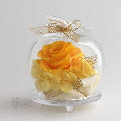 おしゃれなガラスドーム　アップル　黄色いバラ　イエロー　プリザーブドフラワーギフト【ラッピング・メッセージカード無料】 6枚目の画像