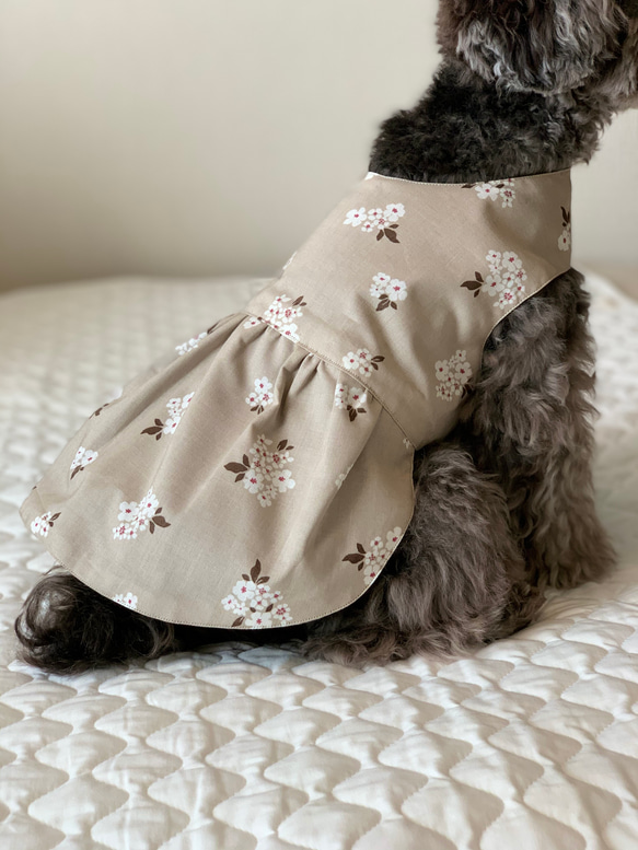 【着せやすい犬服】花柄ワンピース ベージュ×ブラウン 1枚目の画像