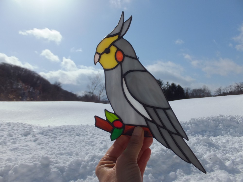 オカメインコ 0_7786ea86e23edc60c46c786bfd5e