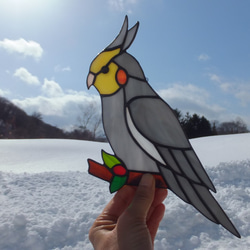 オカベマキコさん　サンキャッチャー２点 受注制作】ステンドグラス オカメインコ サンキャッチャー 【鳥