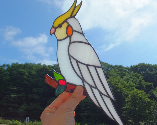オカメインコ 0_7786ea86e23edc60c46c786bfd5e