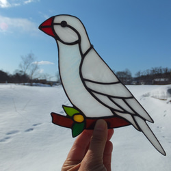 受注制作】ステンドグラス セキセイインコ サンキャッチャー