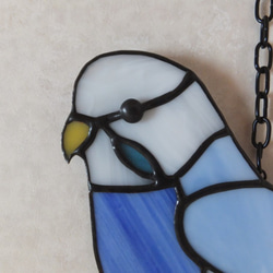 【受注制作】ステンドグラス　セキセイインコ　サンキャッチャー　【鳥　小鳥　インコ】 6枚目の画像
