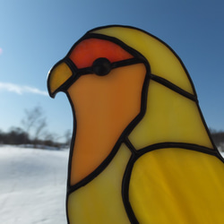 【受注制作】ステンドグラス　小桜インコ　サンキャッチャー　【鳥　小鳥　インコ】 3枚目の画像