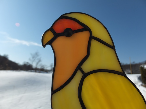 【受注制作】ステンドグラス　小桜インコ　サンキャッチャー　【鳥　小鳥　インコ】 3枚目の画像