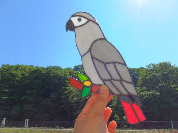 【受注制作】ステンドグラス　ヨウム　サンキャッチャー　【鳥　小鳥　インコ】 1枚目の画像