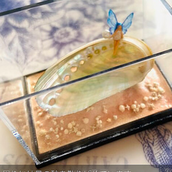 アバロン貝の妖精（その1)   置物　妖精標本商会　妖精　小物　妖精アクセサリー　妖精・フェアリー　小瓶の妖精　置き物 3枚目の画像