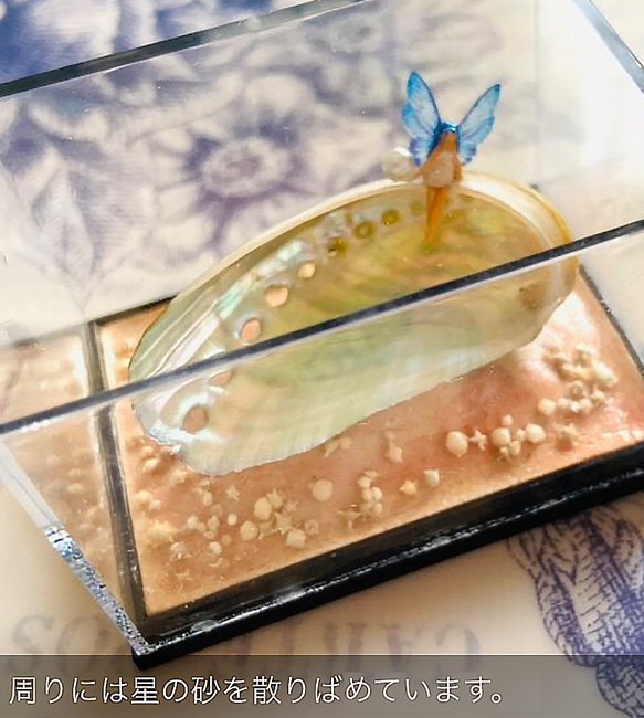 アバロン貝の妖精（その1)   置物　妖精標本商会　妖精　小物　妖精アクセサリー　妖精・フェアリー　小瓶の妖精　置き物 3枚目の画像