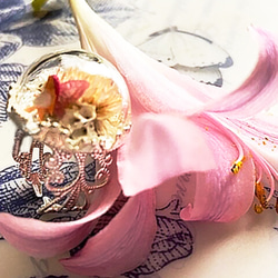 指輪の妖精（その4）　妖精アクセサリー　妖精標本商会　妖精　指輪　妖精・フェアリー　小瓶の妖精 2枚目の画像