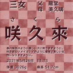 【和柄　市松模様】日本の伝統文様の、一流書道家文字の命名書41 2枚目の画像
