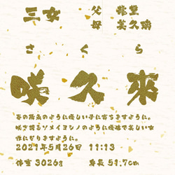 【和柄 金箔模様】日本の伝統文様の、一流書道家文字の命名書43 2枚目の画像