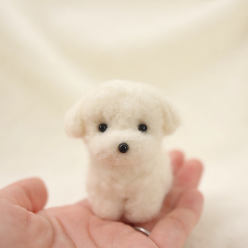羊毛フェルトマルチーズ コースレッスン】羊毛フェルトで作る！かわいい子犬講座 -マルチーズ編