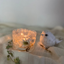 ボタニカルキャンドル【ソイキャンドル&ウッドウィック】ドライ