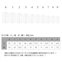 韓国ネイル ネイルチップ 3枚目の画像