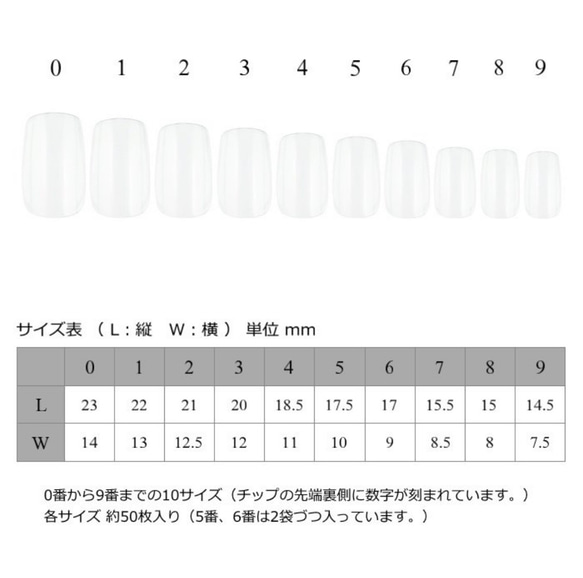 韓国ネイル ネイルチップ 3枚目の画像