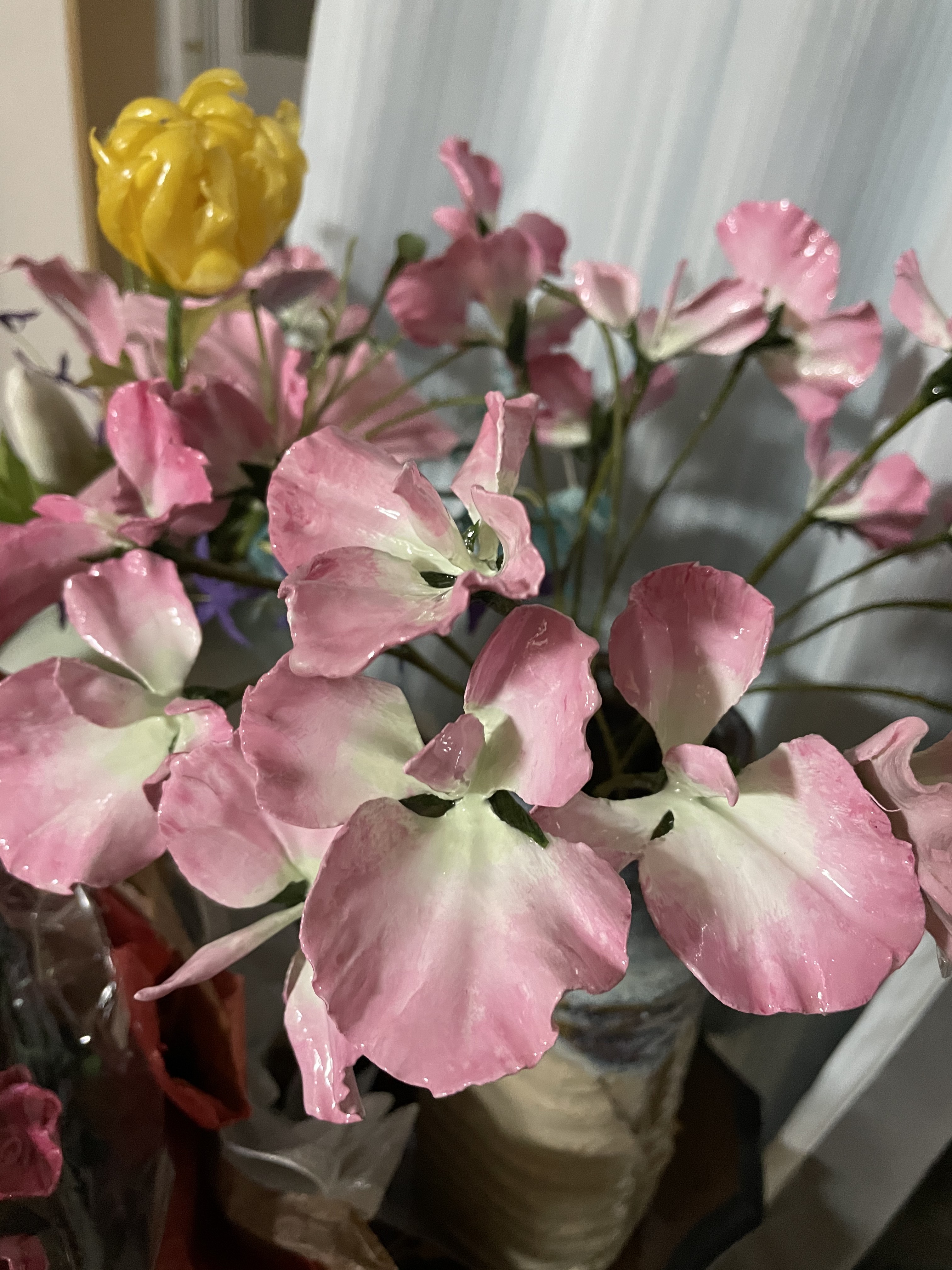 母の日ロウの花ピンク