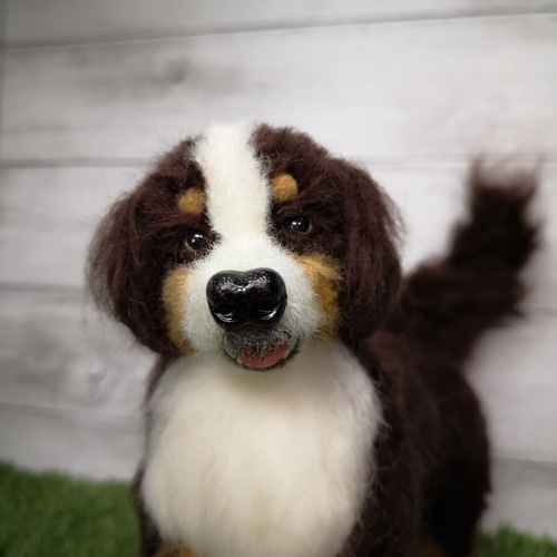 ☆マリンの家☆羊毛フェルト 犬 バーニーズマウンテンドッグ