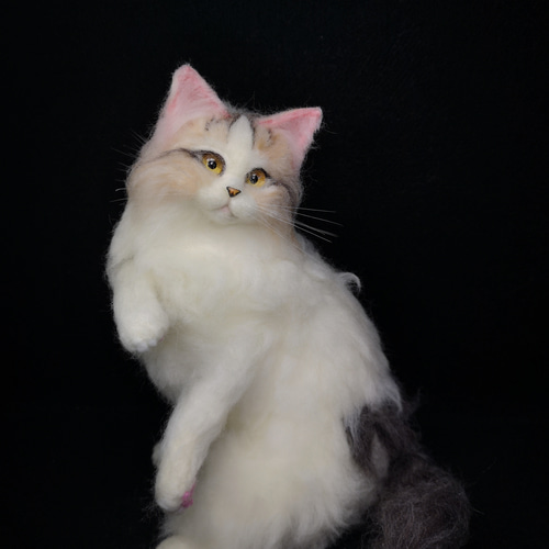 ☆マリンの家☆羊毛フェルト 猫 ラガマフィン ハンドメイド ねこ ネコ