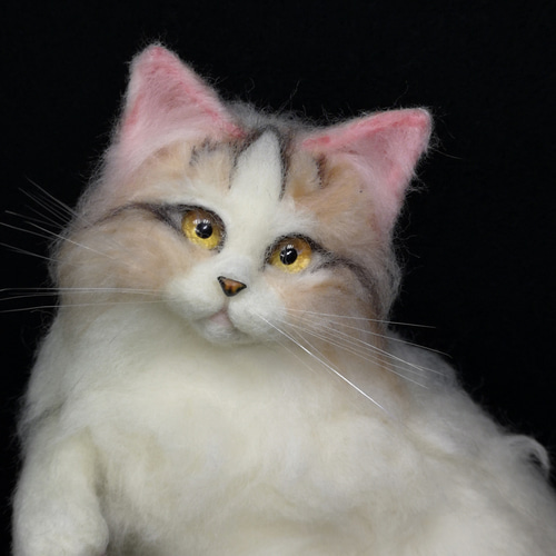 ☆マリンの家☆羊毛フェルト 猫 ラガマフィン ハンドメイド ねこ ネコ