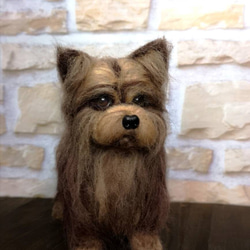 羊毛フェルト rin-go様 ヨーキー 犬 ハンドメイド オーダー