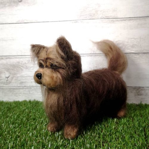 ☆マリンの家☆羊毛フェルト 犬 ボストンテリア ヨークシャテリア