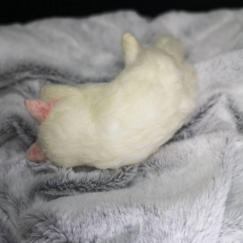 ☆マリンの家☆羊毛フェルト 猫 白猫～ゴロゴロポーズ