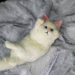 ☆マリンの家☆羊毛フェルト　猫　 白猫～ゴロゴロポーズ　ハンドメイド　ねこ　ネコ　フェルト猫　　羊毛フェルト猫 6枚目の画像