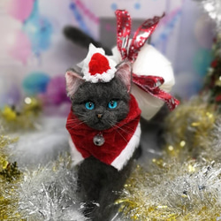 羊毛フェルト　ロシアンブルー～サンタバージョン　猫　ハンドメイド　ねこ　サンタ　クリスマス　サンタクロース　ハンドメイド 2枚目の画像
