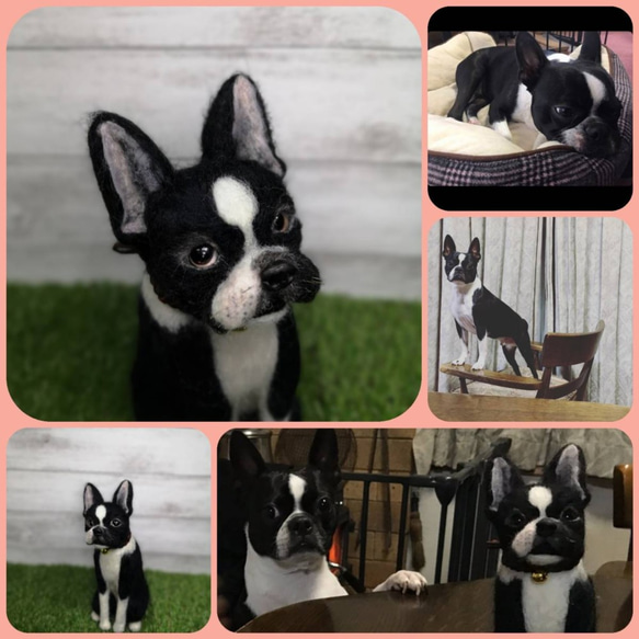 ☆愛犬オーダーメイド☆うちのこ　羊毛フェルト　ハンドメイド　メモリアル　いぬ　ペット　供養　ペットロス　犬　イヌ　用品 #いぬのきもち F2267776977(17480円)