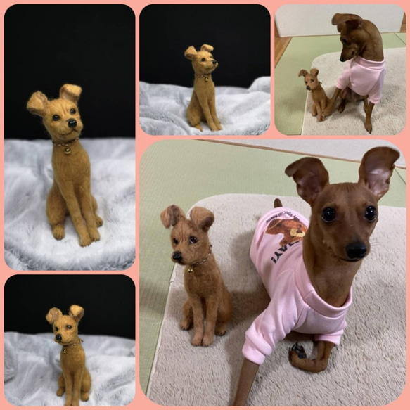 ☆愛犬オーダーメイド☆うちの子　羊毛フェルト　ハンドメイド　メモリアル　いぬ　ペット　オブジェ　ペットロス　犬　イヌ 11枚目の画像