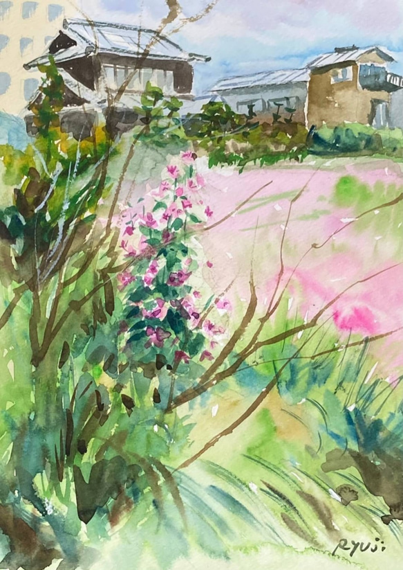 水彩画】「初夏の花 2021」 F4：332×242 mm 絵画