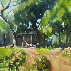 水彩画】原画「初夏の花」 F4：332×242 mm 絵画 ryuji_watercolor 通販