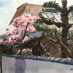 水彩画】原画「 ニチニチソウ」F4：242×332 mm #花 #flower