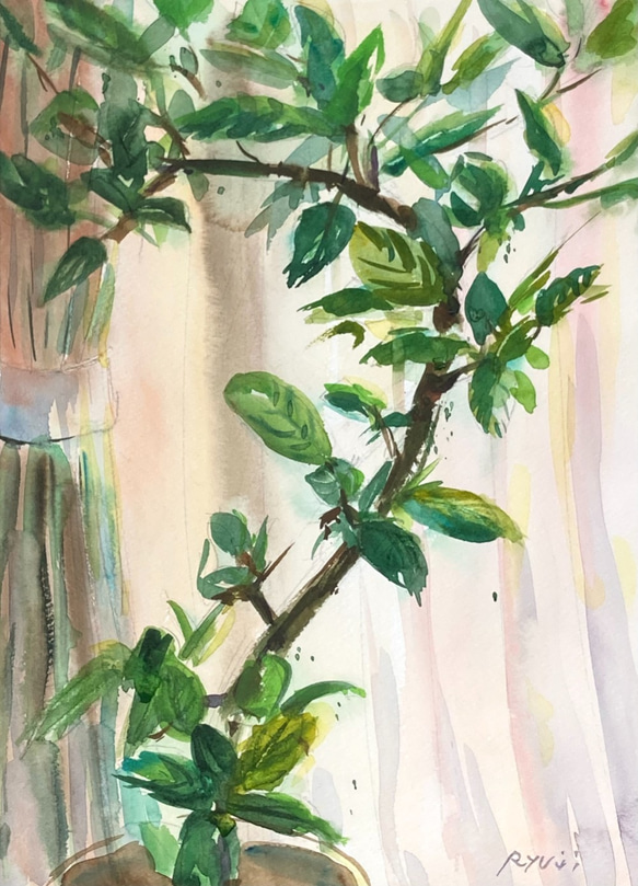 人気のファッションブランド！ 水彩画 植物 1830年 M. お見舞い S. 絵画 - 絵画 G. S. 絵画