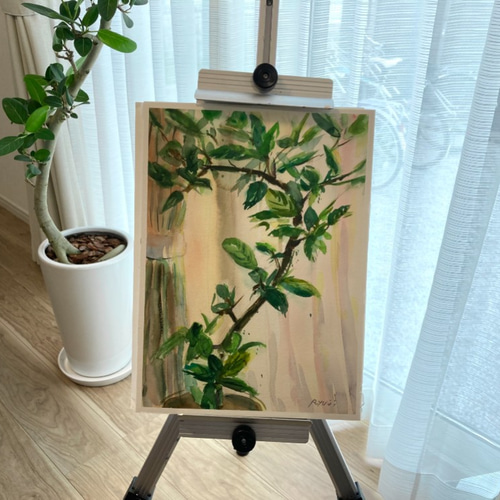 水彩画 植物の絵 赤い鉢ベストセラー 商品