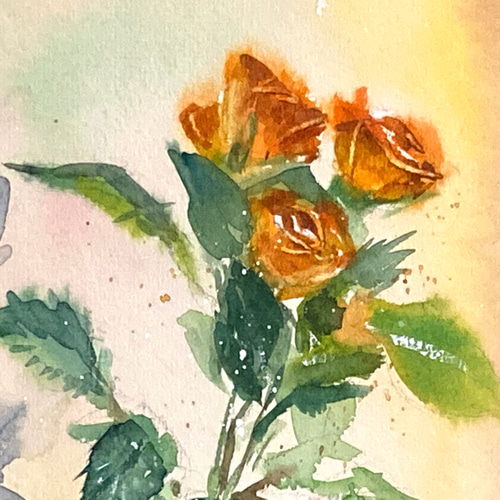 新作人気 薔薇 Amazon.co.jp: 水彩画 おもちゃ : オーダー